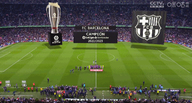 再见，于汉超！很遗憾，申花队没能为“猴哥”写上一个漂亮的结尾（与于汉超道别：遗憾申花未能让“猴哥”圆满谢幕）